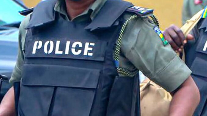 Police arrest 25 suspected drug peddlers in Borno