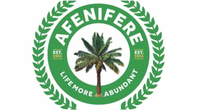 Let’s review Nigeria’s security architecture — Afenifere