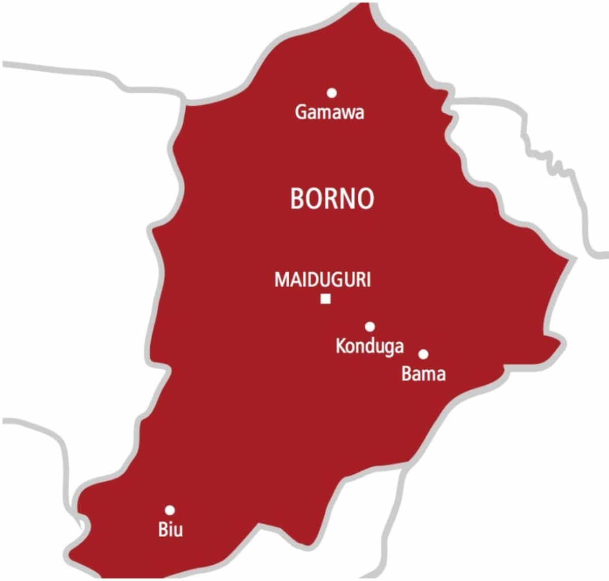 13 Borno LGAs In Darkness Over Insurgency, Vandalism