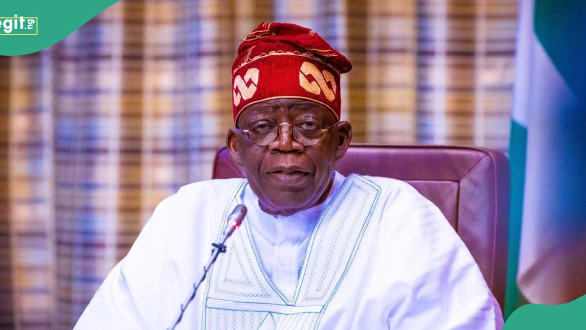 “This is Just the Beginning”: Tinubu’s Govt Announces Sale Of 50kg Rice For ₦40,000