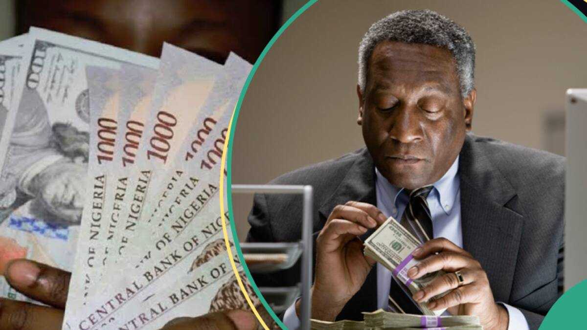 Good News: Report Predicts 3 Sources Nigeria Will Get Dollars in 2024