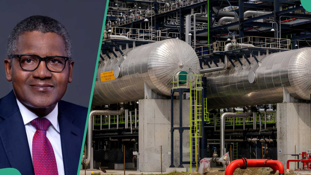 Analyst Speaks on Impact of Dangote Refinery as Dangote Set to Release Petrol for Sale