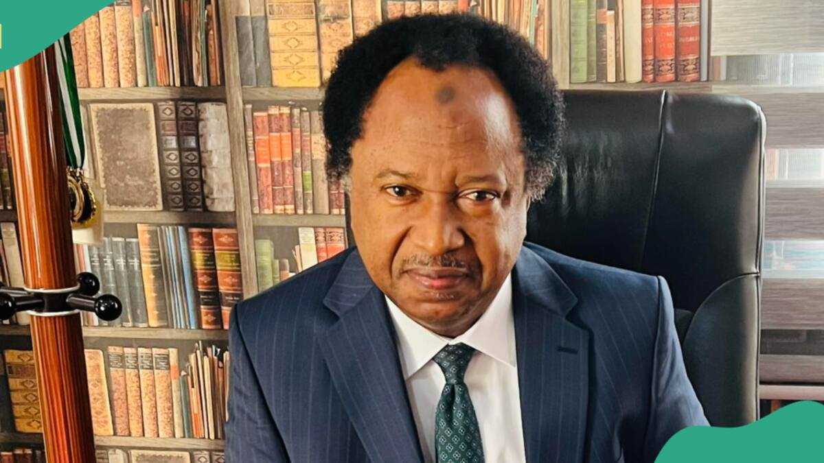 Shehu Sani Speaks Out as Deaths, Destruction Mar Nigeria's Hardship Protests: "Scores Dead"