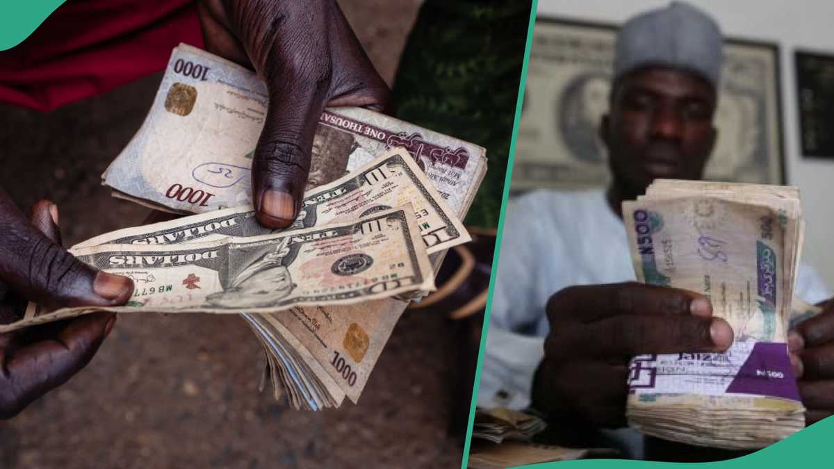 CBN Updates All Exchange Rates As Naira Crashes Against Dollar As Banks React to Hunger Protests