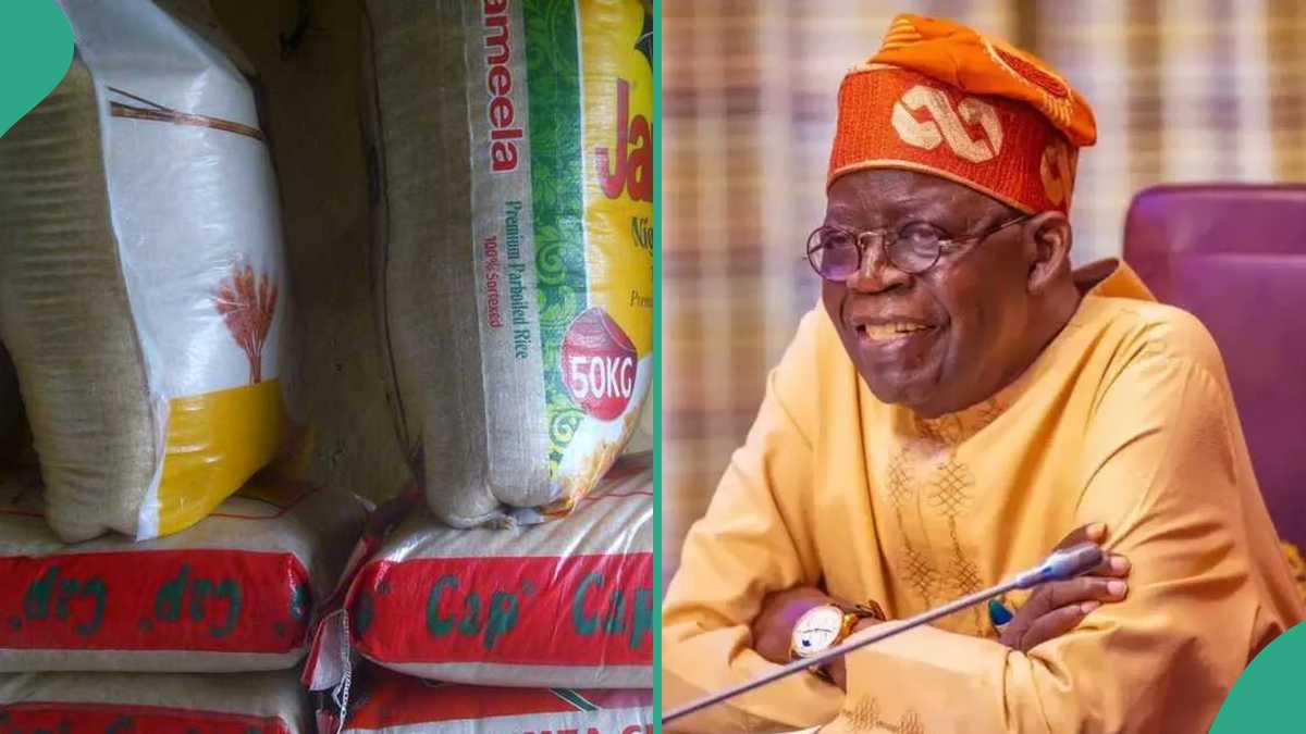 “Register Now”: Tinubu’s Govt Begins Sharing of N40,000 Rice, Discloses Those Who Are Eligible