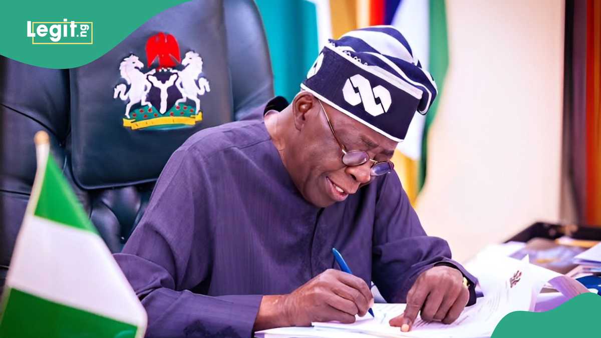 BREAKING: Tinubu Appoints Governing Councils of Two Federal Tertiary Institutions