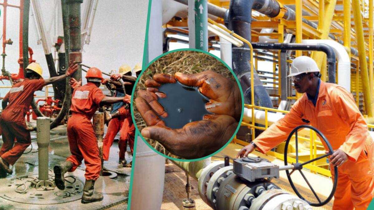 Boost for Naira as Nigeria’s Oil Production Surges to 1.7mbpd after New Crude Grade Discovery