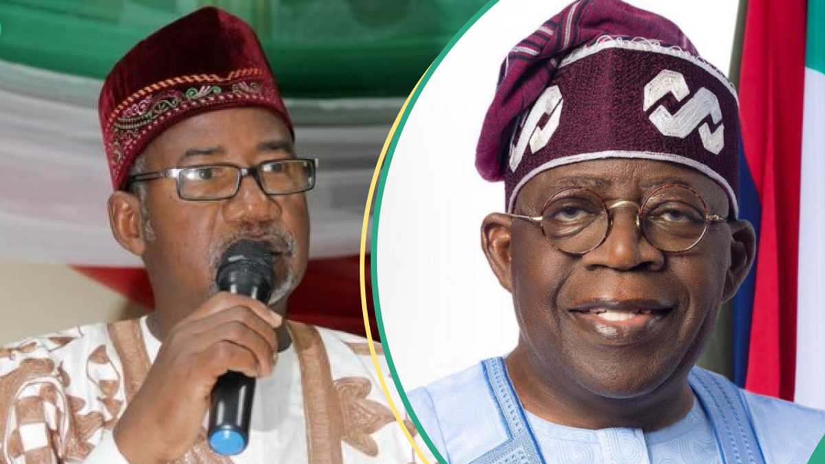 2027 Presidency: “I Will Invite Him to be Campaign Director”: Bauchi Gov Sends Message To Tinubu