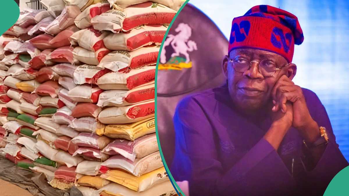 Hunger Protest: Tinubu’s Govt Suspends Sale of N40,000 Rice to Nigerian Workers, Details Emerge