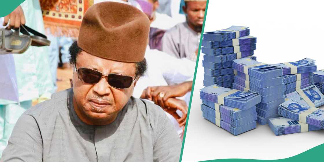 Hardship: Shehu Sani reacts as governors get N570 billion