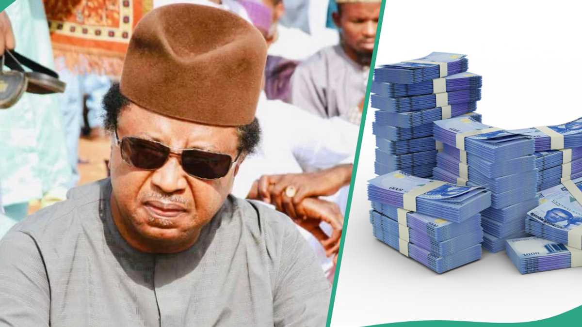 Hardship: Shehu Sani Reacts as Nigerian Governors Get N570 Billion to Support Citizens