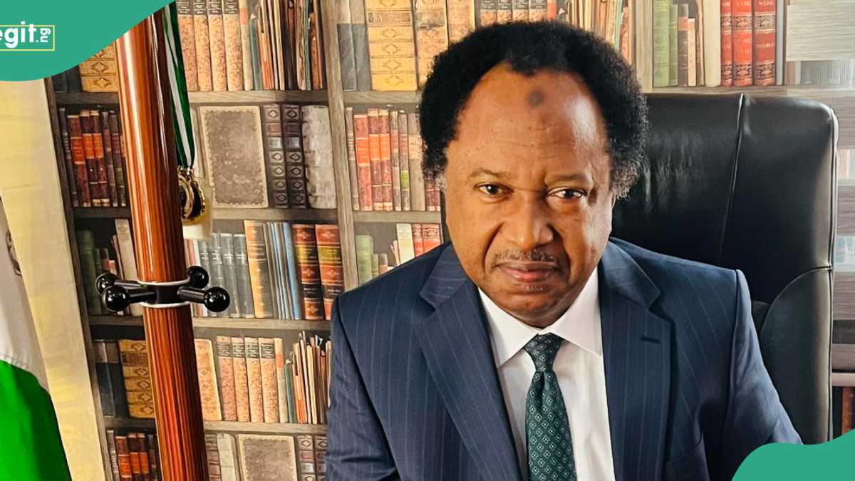 Shehu Sani Discloses Only 2 Ways to Cut Cost of Governance in Nigeria