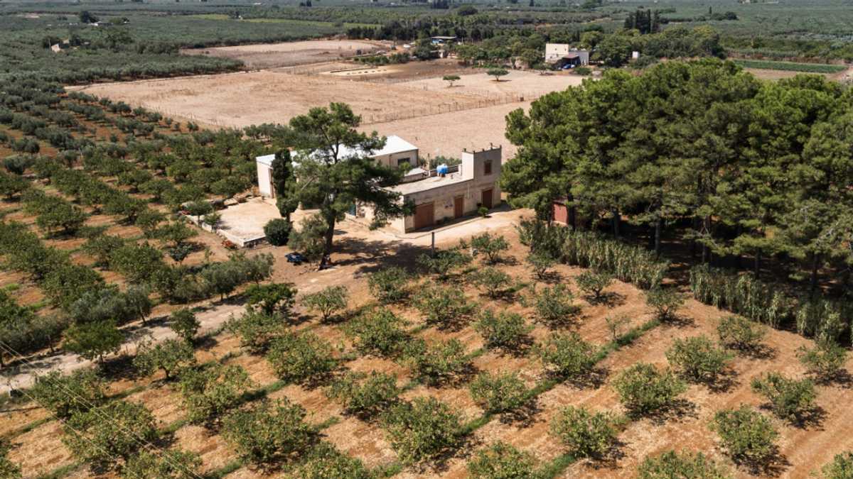 In drought-hit Sicily, rainwater is dumped in the sea