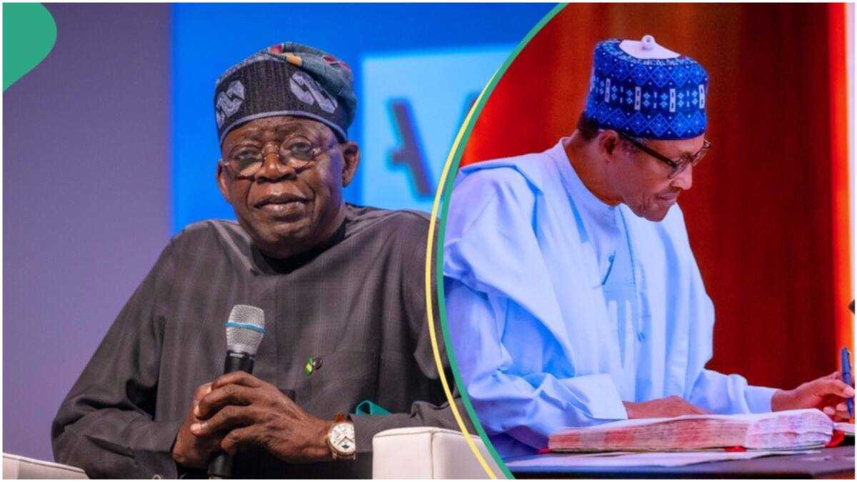 Full List of Buhari's Kinsmen Tinubu Gives Appointment This Week