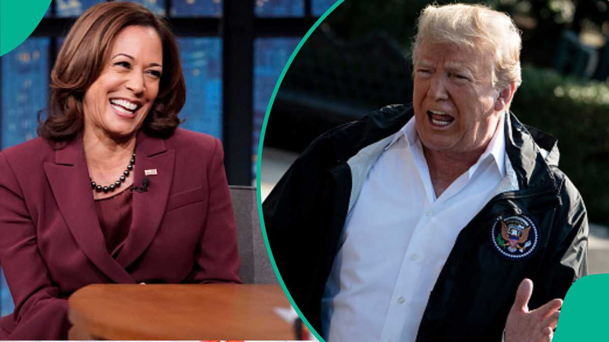 Kamala Harris vs Trump: New Poll Predicts Winner of US 2024 Election in 3 Battleground States