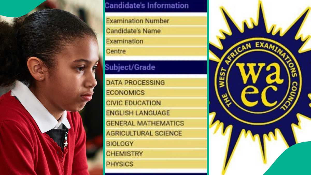 WAEC 2024: Result of Nigerian Girl Raises Concern with A1s in Key Subjects but F9 Economics