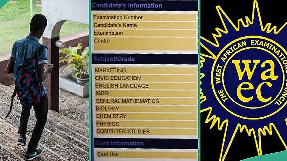 WAEC 2024: Science Student Gets A1 in Mathematics and Physics, Photo Shows Full Grades