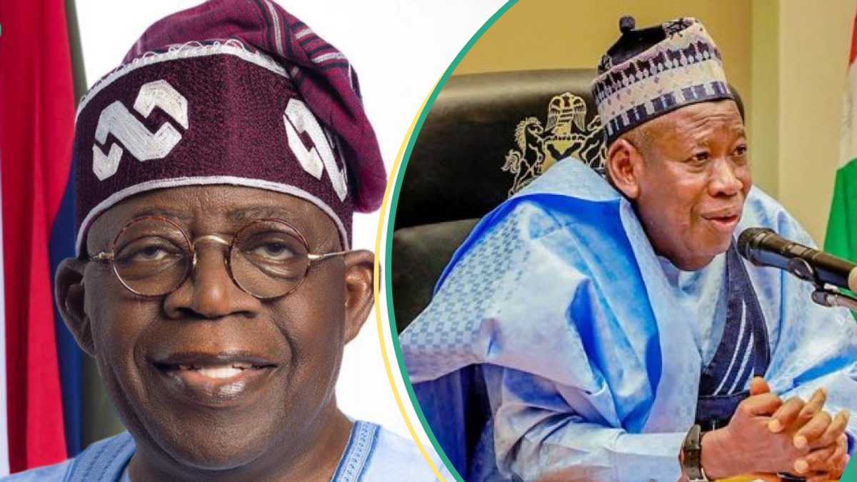 Fresh Twist as Tinubu Allegedly Tips Ganduje for Ambassadorial Appointment, Details Emerge