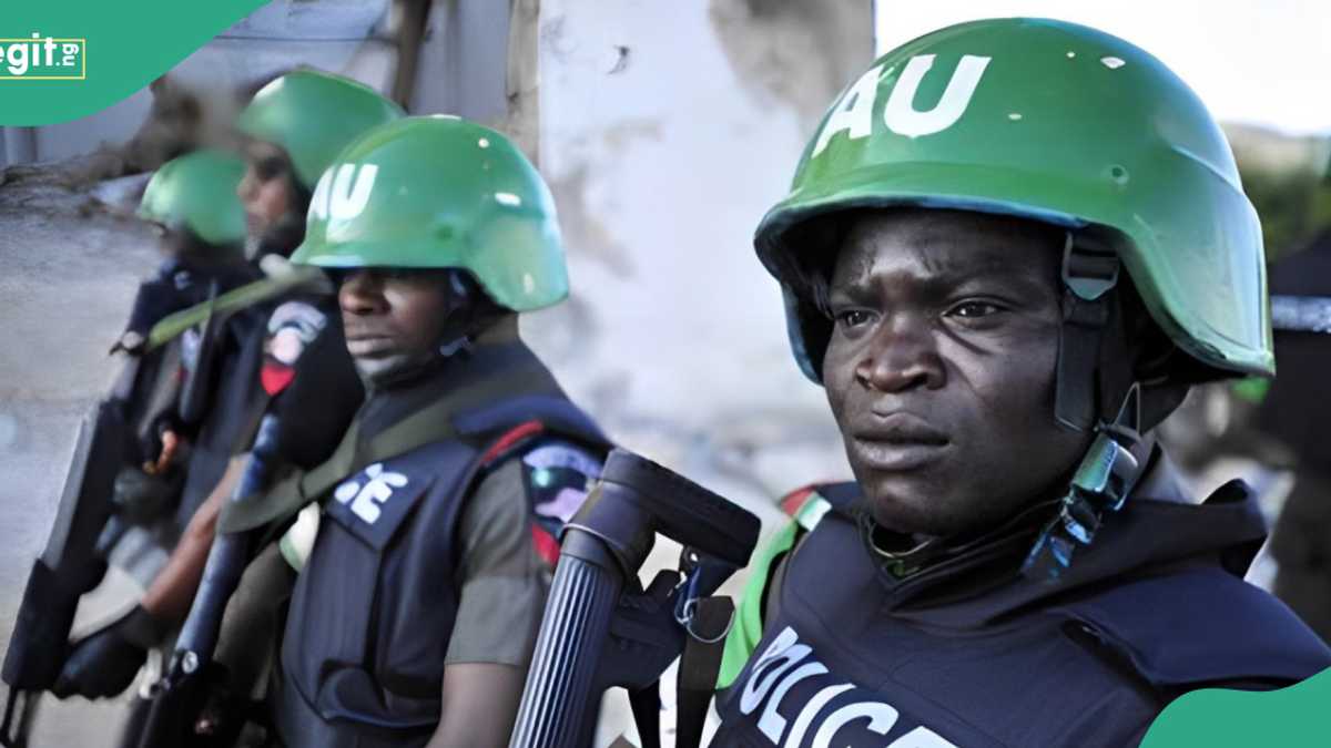 Kano Police Arrest 2 Suspects for Stealing Station Signpost, Nigerians React