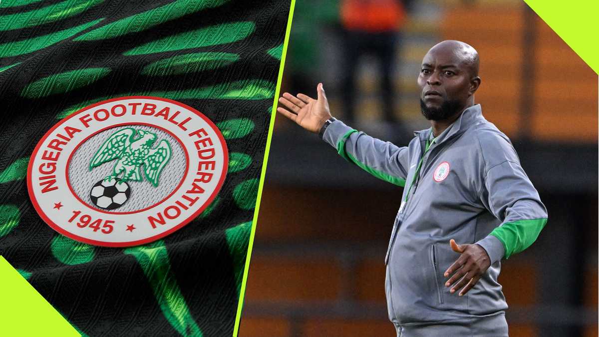 Super Eagles Icon Warns NFF's Treatment of Finidi Spells Trouble for Indigenous Coaches