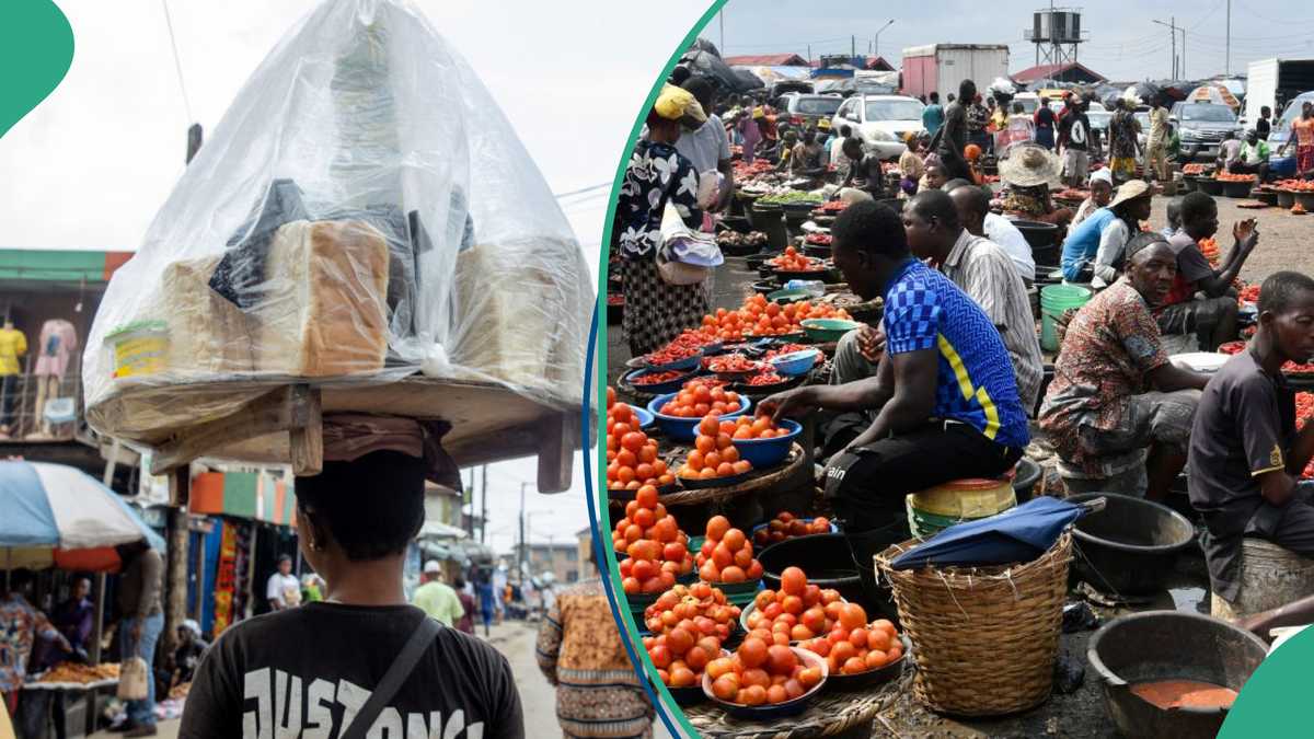 New Data Shows 10 Most Affordable States To Live in Nigeria As Fish, Meat, Other Items Prices Drop