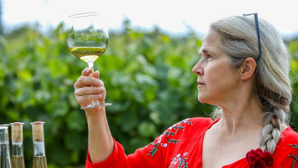 Climate change a mixed blessing for sun-starved Irish vintners