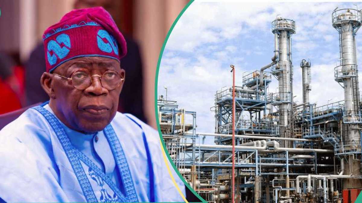 Tinubu Told What To Do With Port Harcourt, Warri, Kaduna Refineries to End Fuel Scarcity