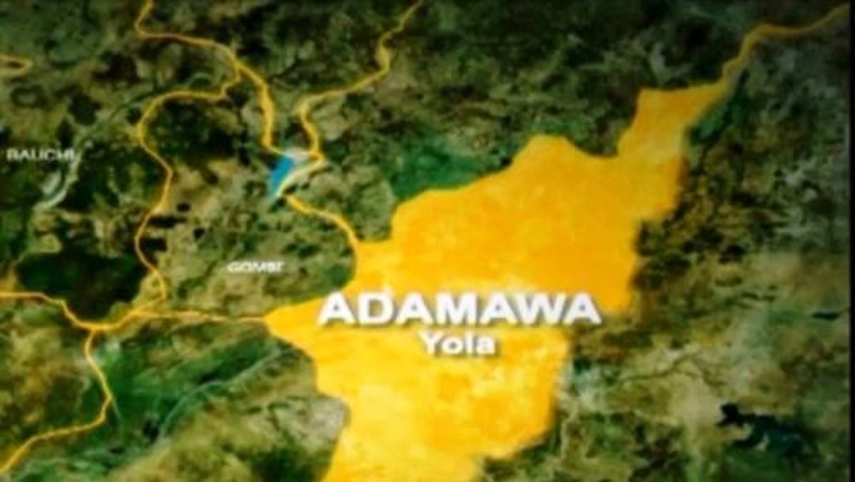 Adamawa Maps Out Irrigation Sites For Agricultural Diversification