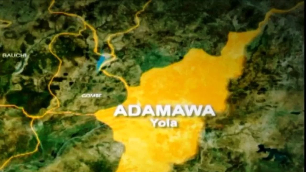 Adamawa local govt election tribunal receives 9 petitions