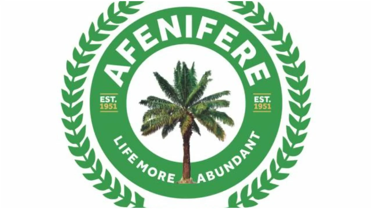 Afenifere condemns one-month ultimatum issued to Igbos to vacate Yoruba land