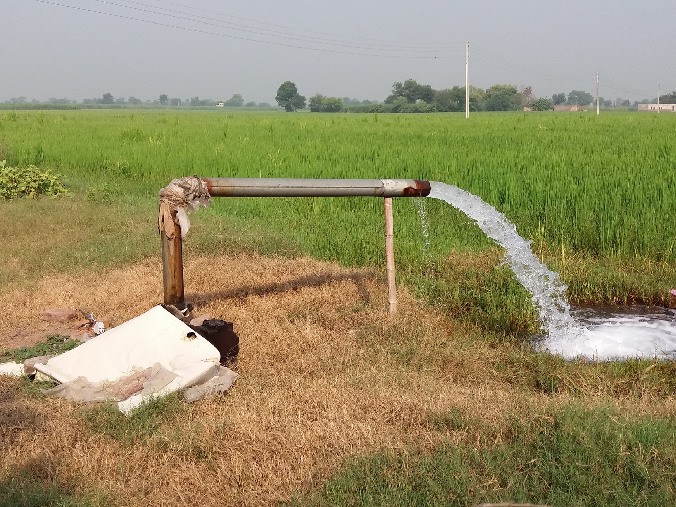 Borno Drills Tube-wells For Irrigation Farming, To Begin Tomato Processing