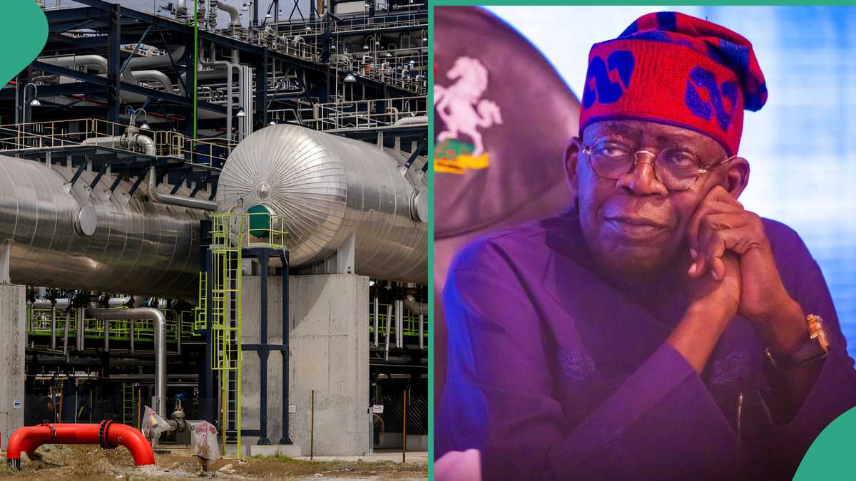 FG Gives Important Update on Crude Delivery, Supply of Dangote’s Petrol, Port Harcourt Refinery