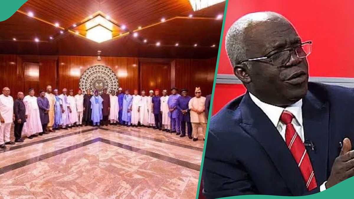 "How 36 Governors Handed Over Their Constitutional Power to FG": Falana on Fire