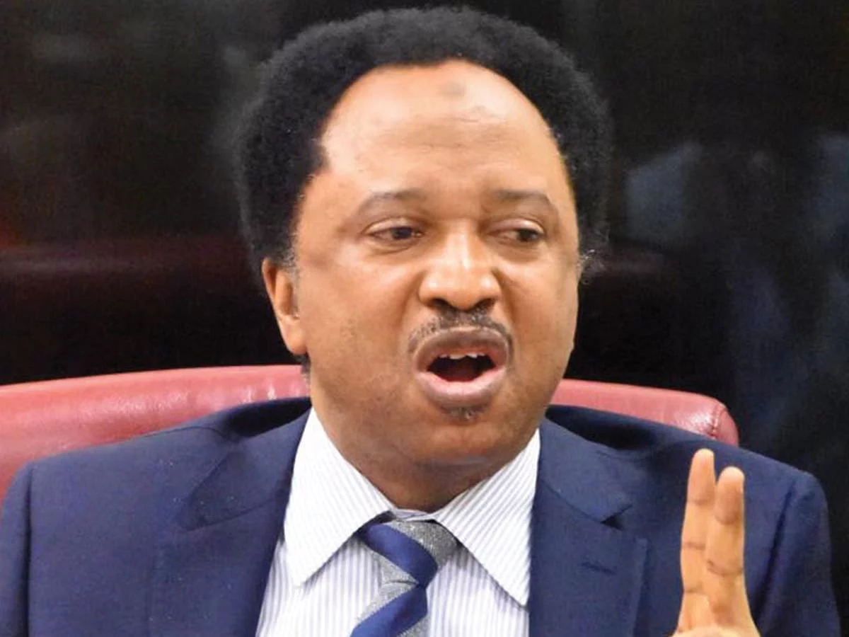 Kano: It’s unfortunate – Shehu Sani reacts to loot govt properties by protesters