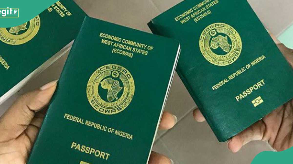 Minimum Wage: LP Chieftain Speaks on Link Between Int'l Passport and Salary in Nigeria