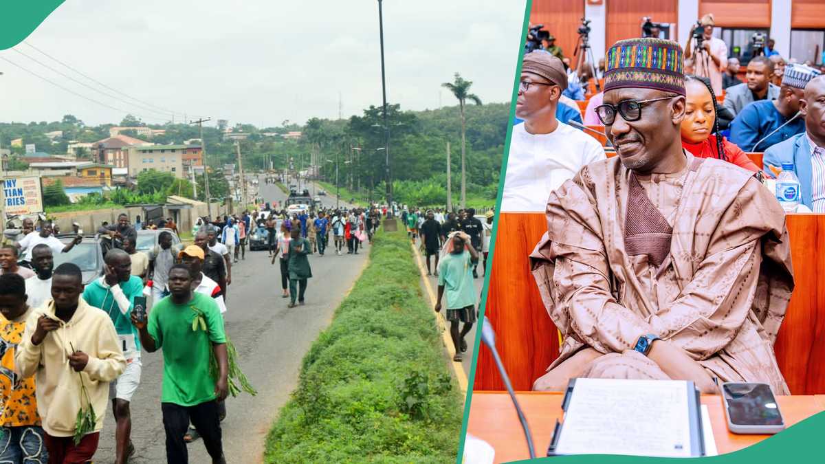 NNPC: Drama as Protesters Engage in Physical Fight Over Money From Sponsors