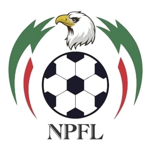 NPFL Clubs Get Ultimatum To Set Up Websites