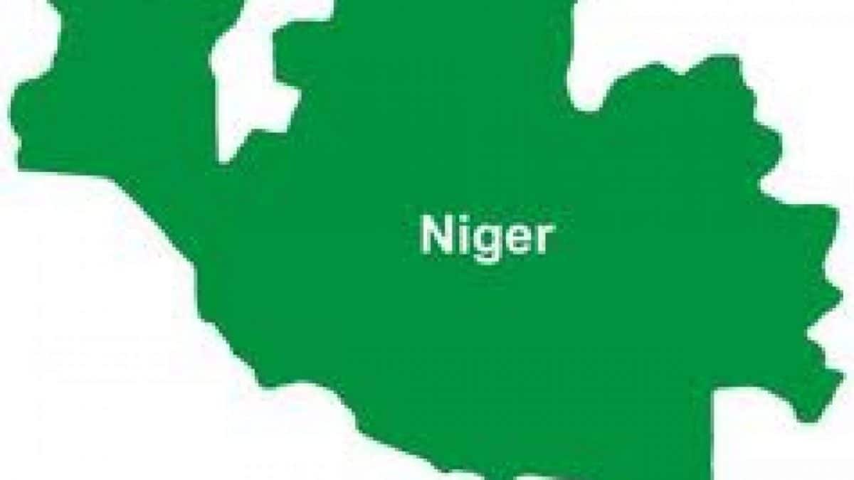 Newborn abandoned in farm found dead in Niger