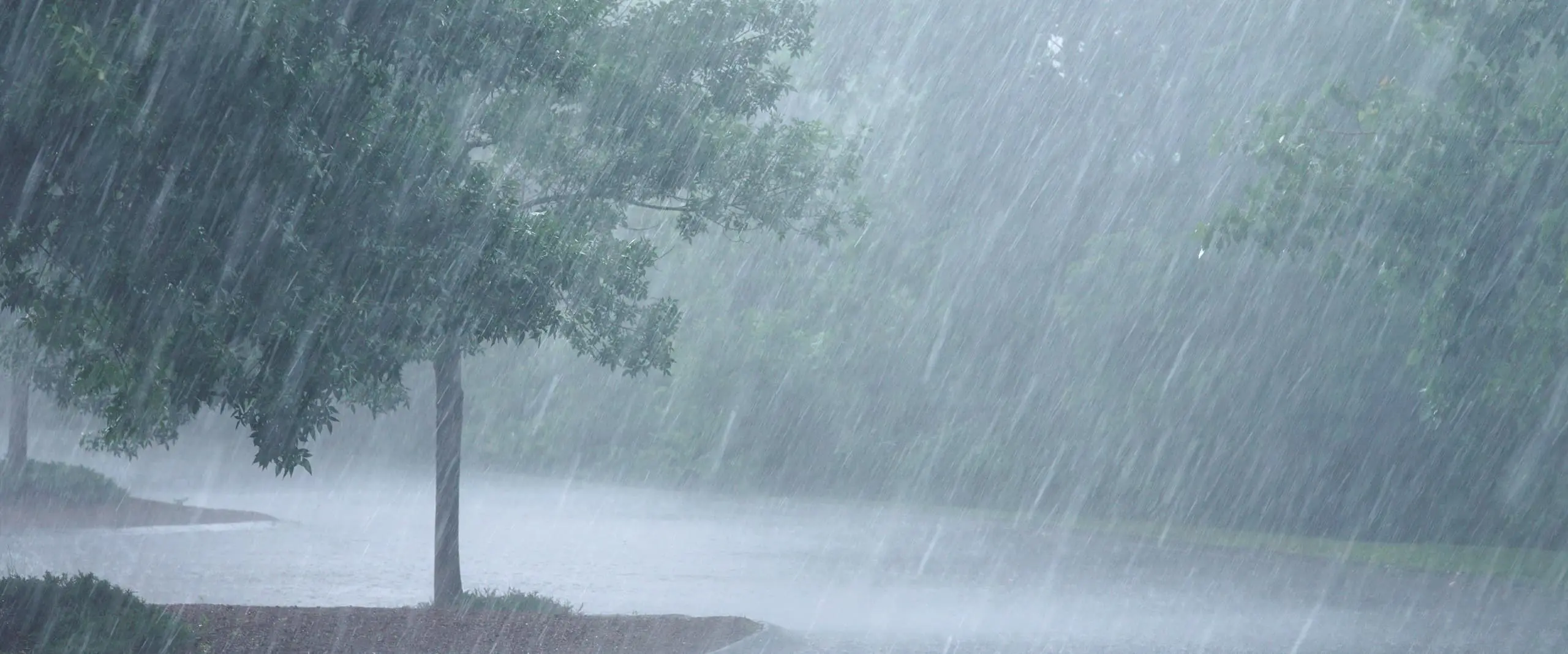 NiMet predicts 3-day thunderstorms, rains from Thursday