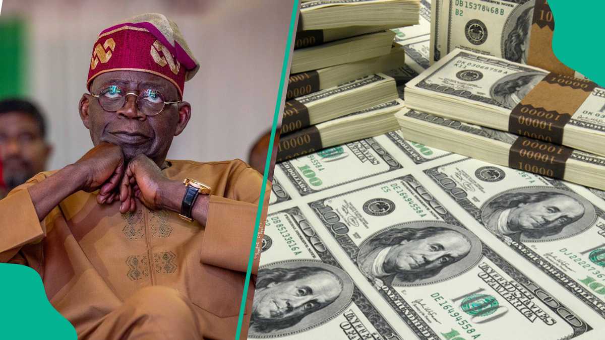 Nigeria Falls Behind as Tunisia, Libya, Other Countries’ Currency Are Named Strongest