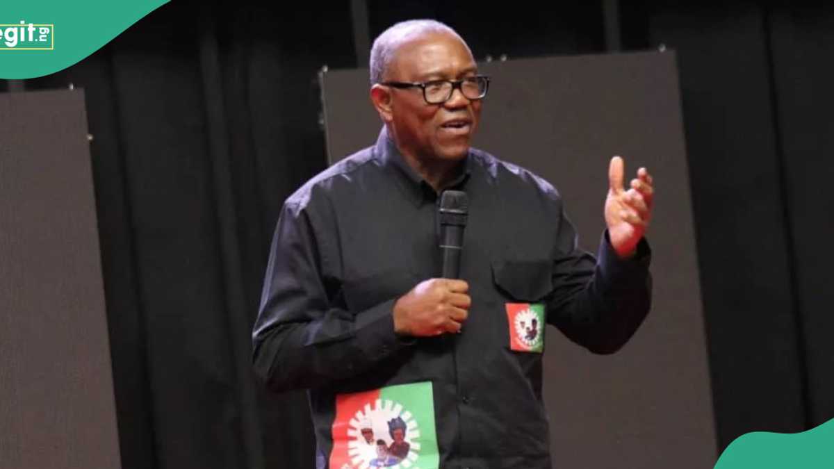 Ondo Guber Election: Peter Obi’s Reconciliation Fails As 2 Labour Party Candidates Emerge