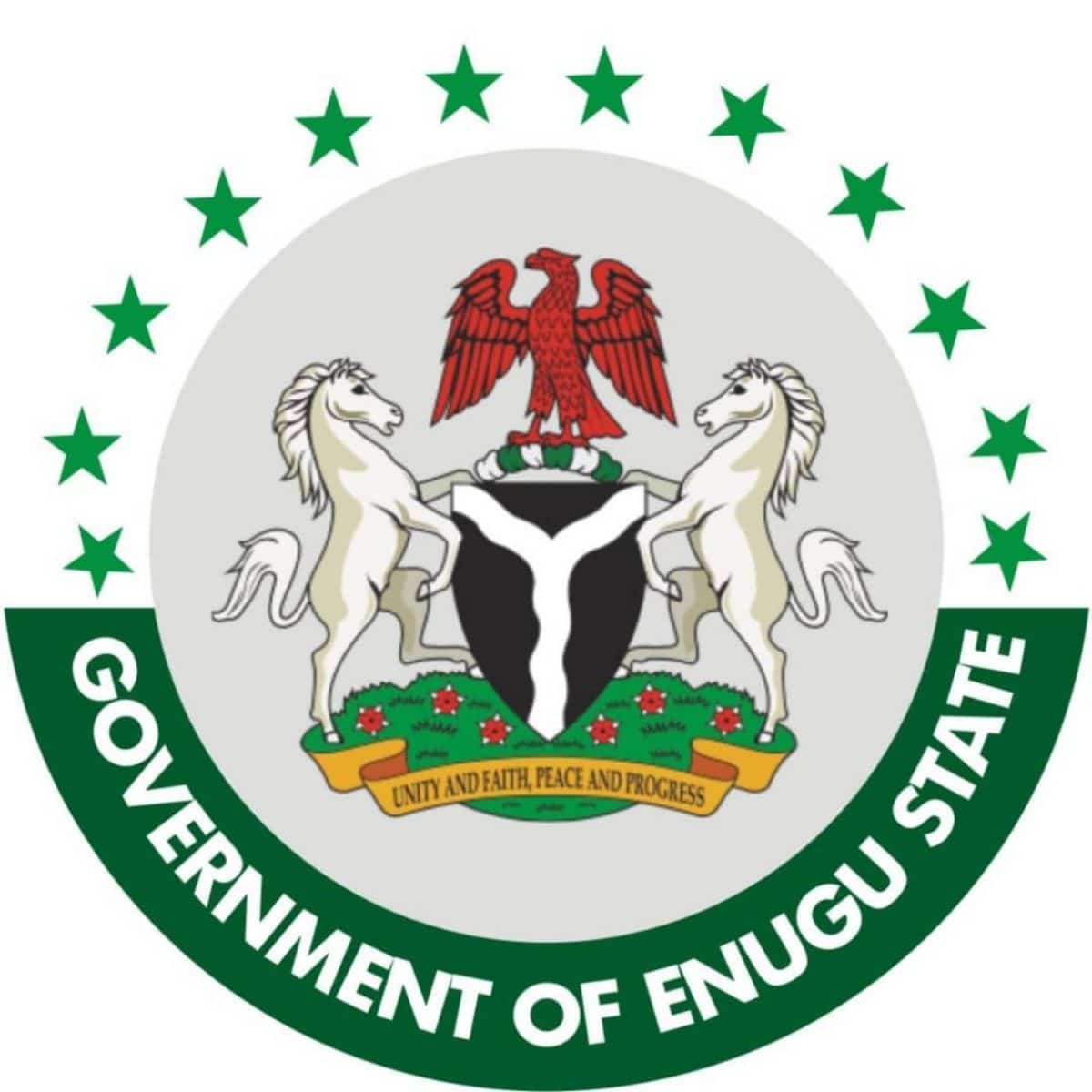 Our agro revolution youth-centred – Enugu govt