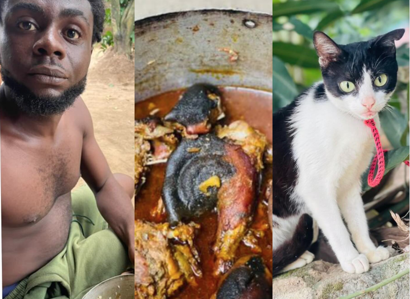 Outrage as Man kills his pet, uses the meat to prepare special delicacy for friends on his birthday