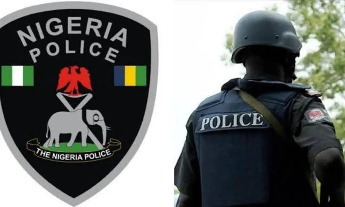 Police arrest 11 hoodlums as protest turns violent in Niger