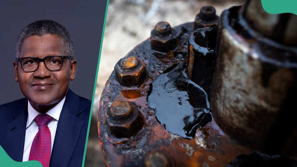 Report Exposes Companies Selling Dirty Fuel in Nigeria After Dangote Raises Alarm