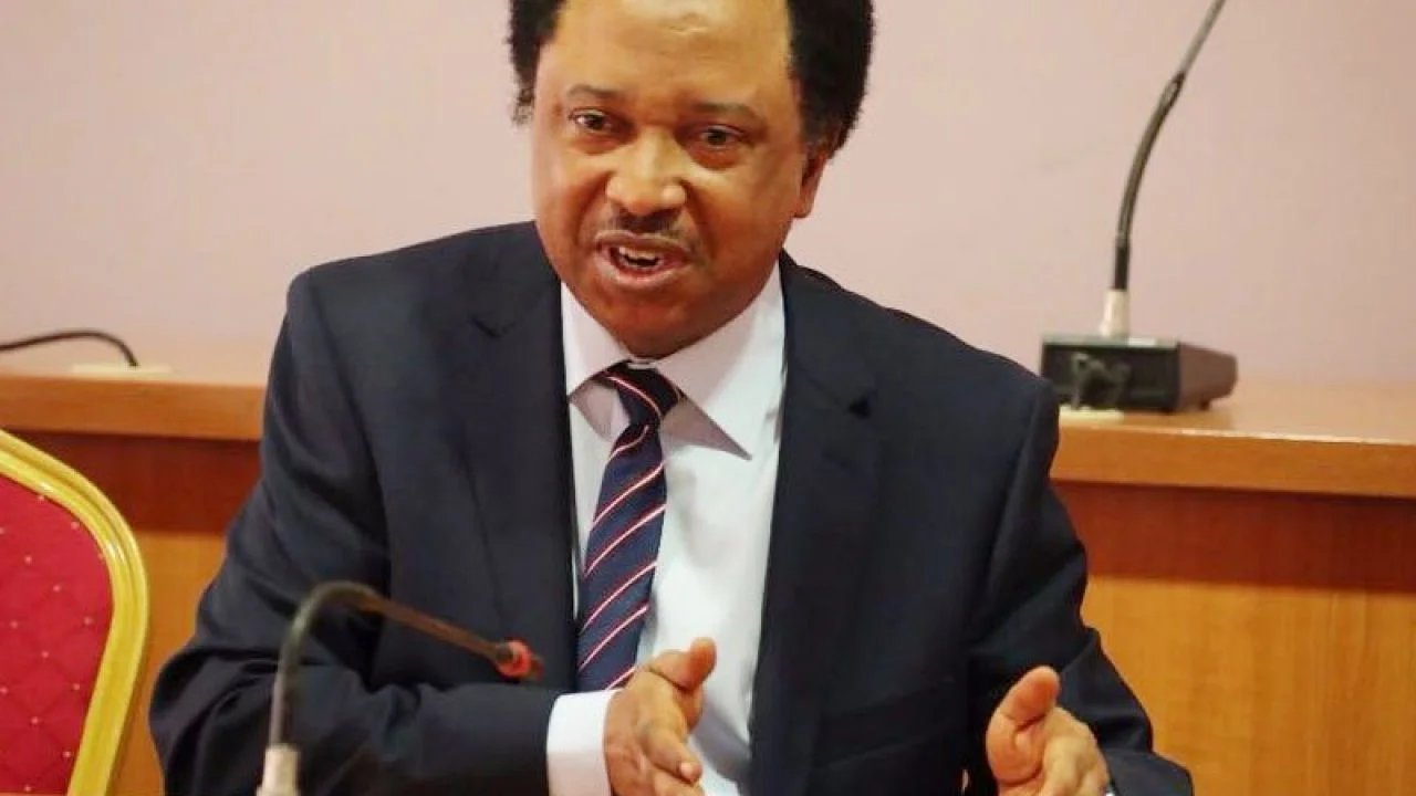 Russian flag: Money was shared – Shehu Sani alleges plots to overthrow Tinubu’s govt