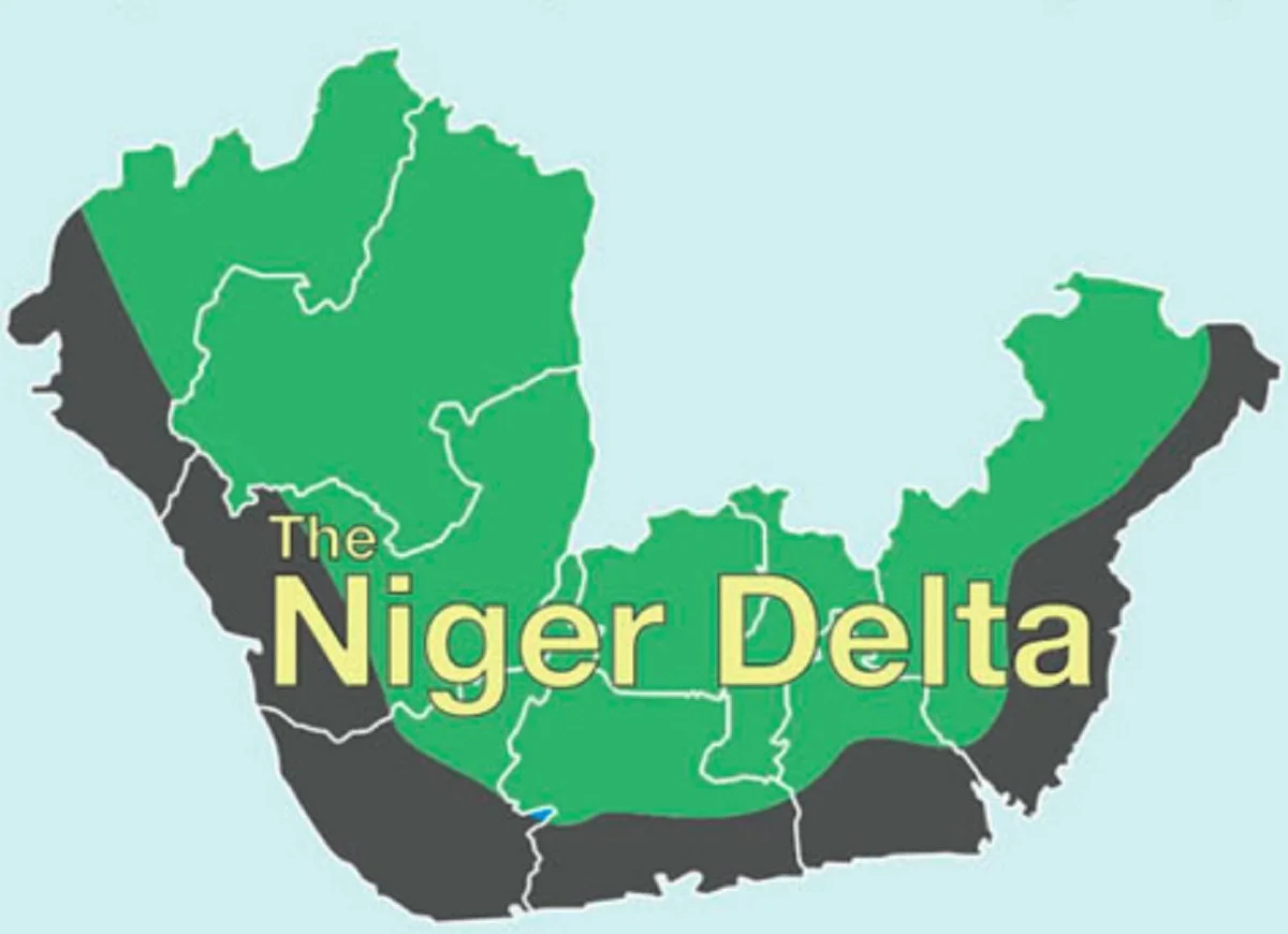 Selfish leaders behind calls to boycott protests — Niger Delta group