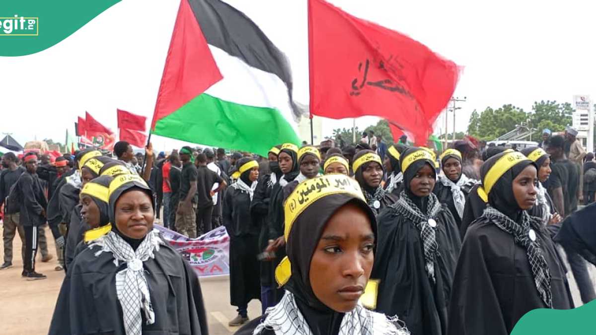 Shiites Send Message to Nigerians Ahead of Annual Symbolic Trek For Grandson of Prophet Muhammed