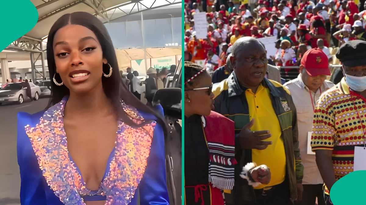 South Africans Angry With Chidimma Adetshina’s Speech After Arriving in Lagos: “My Father’s Land”