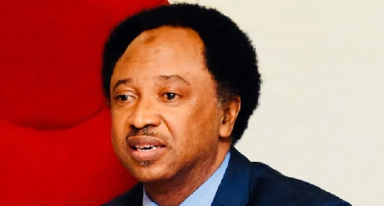 Suspend protest, negotiate with govt – Shehu Sani